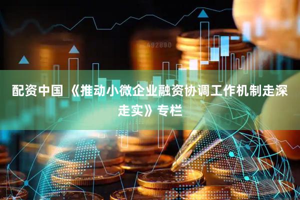 配资中国 《推动小微企业融资协调工作机制走深走实》专栏