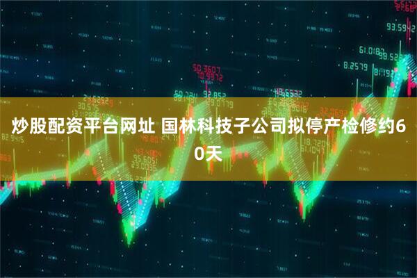 炒股配资平台网址 国林科技子公司拟停产检修约60天