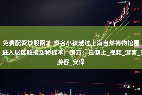 免费配资炒股网址 多名小孩越过上海自然博物馆围栏，进入展区触摸动物标本，馆方：已制止_视频_游客_安保